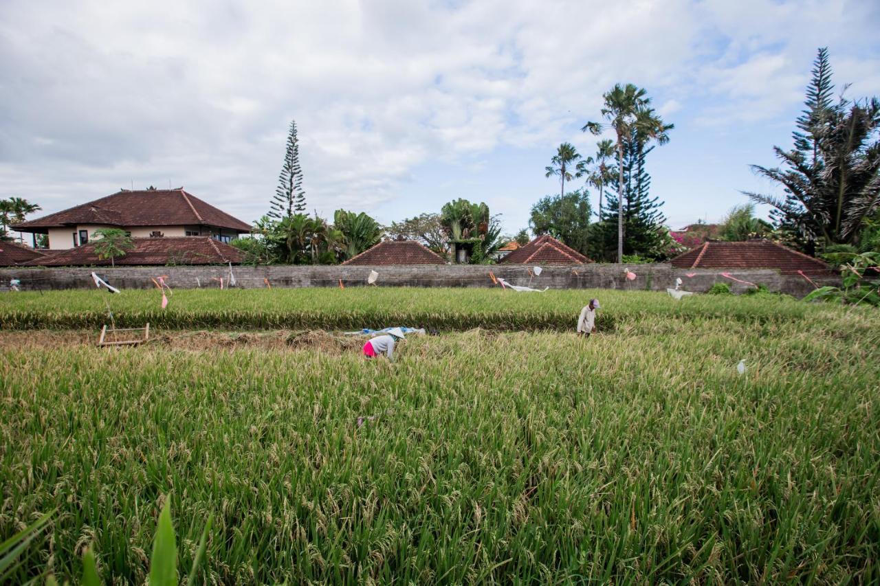 Villa Piece Of Peace Private 3Br With Large Pool And Garden Canggu Dış mekan fotoğraf